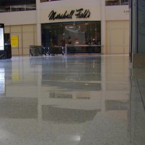 Oakland Mall- Lustrous Shine AfterVitrification_edited